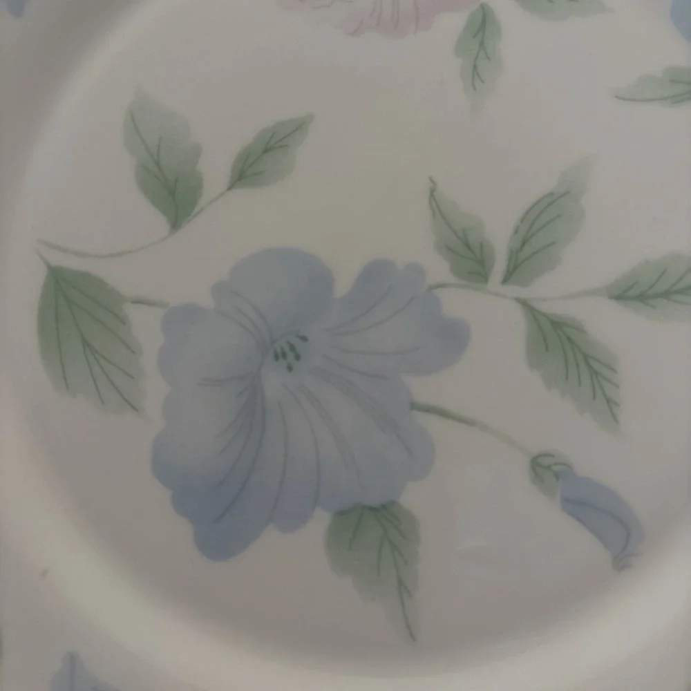 Set of 8 Arcopal France 'Chloe' Salad Plates 7.75